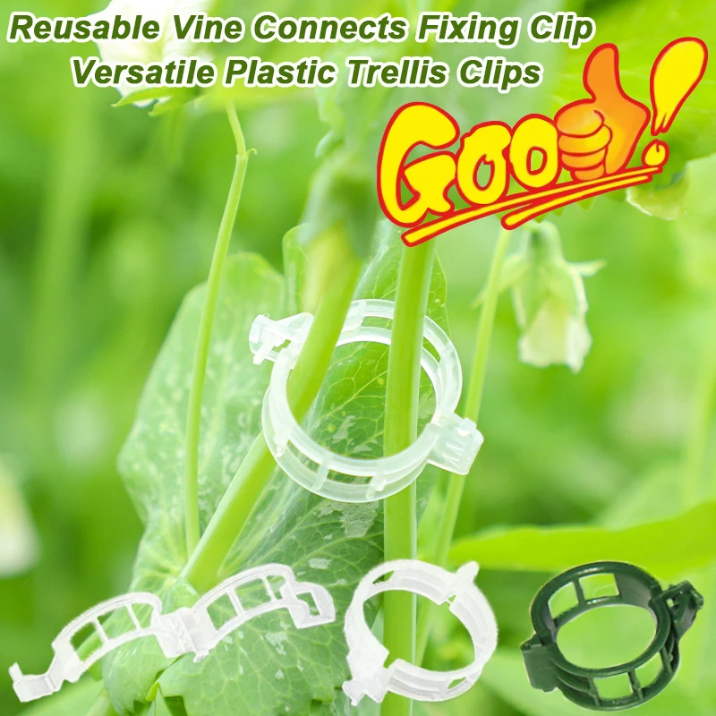 Vine Climbing Plastic - قابلة لإعادة الاستخدام الكرمة يربط تثبيت