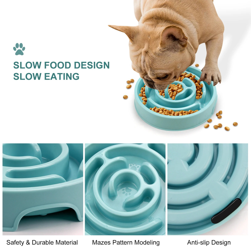 وعاء تغذية بطيء للكلاب الأليفة - مراجعة Royal Canin Food Medium وسعره