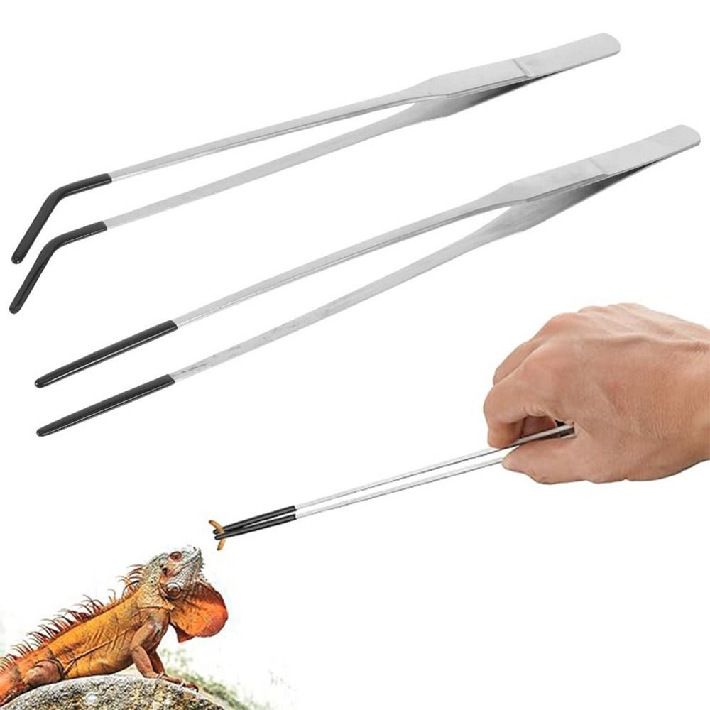 ملقط تغذية للحوض المائي من الف - مراجعة Feeding Tong Stainless وسعره