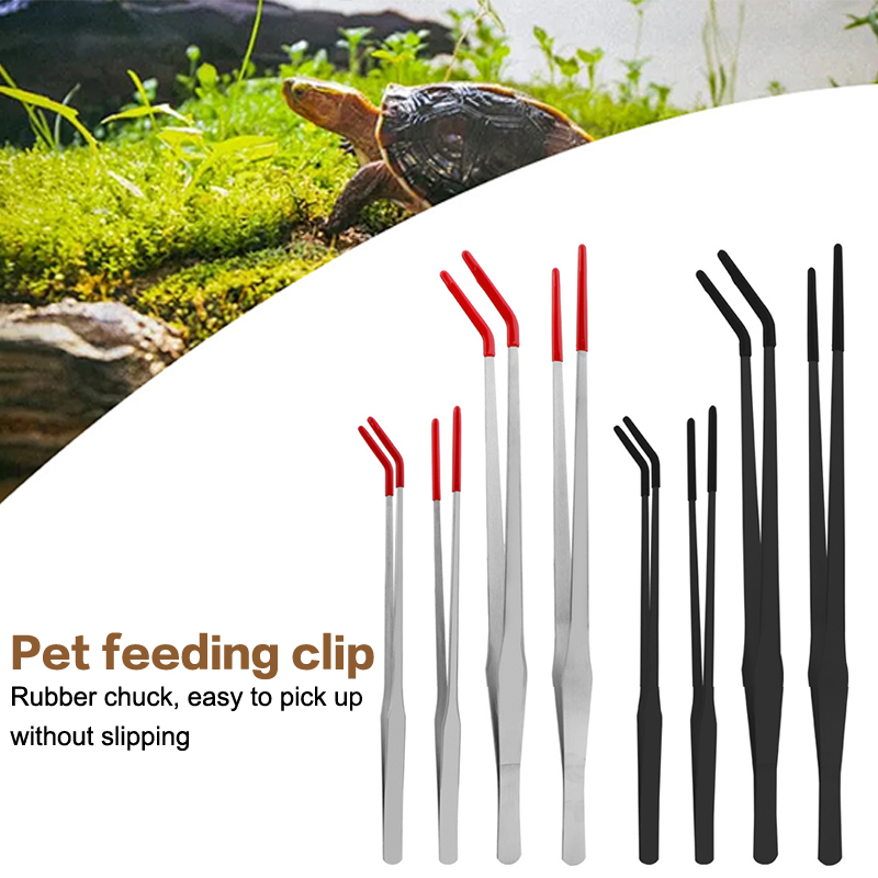 ملقط تغذية الزواحف من الفولاذ  - مراجعة Feeding Tong Stainless وسعره