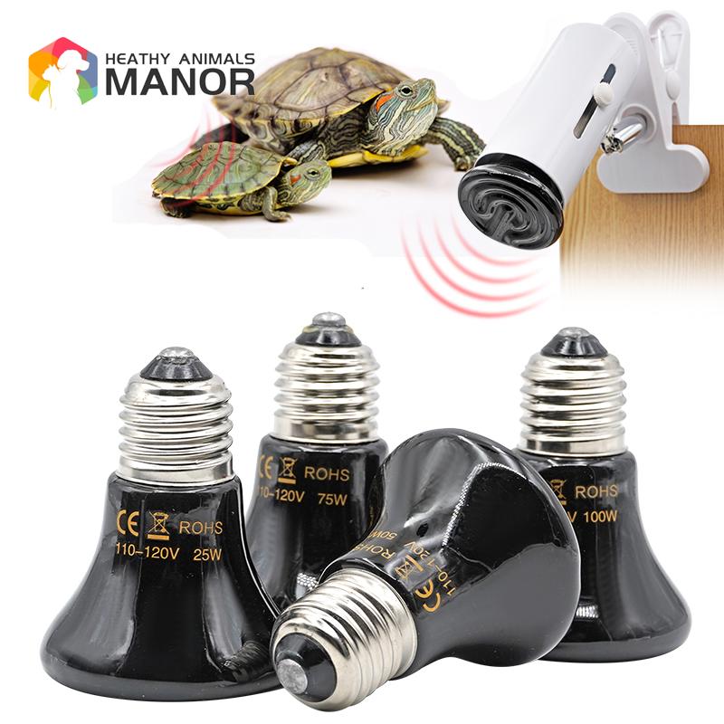 الحيوانات الأليفة مصباح تدفئة  - مراجعة Ceramic Heat Emitter وسعره