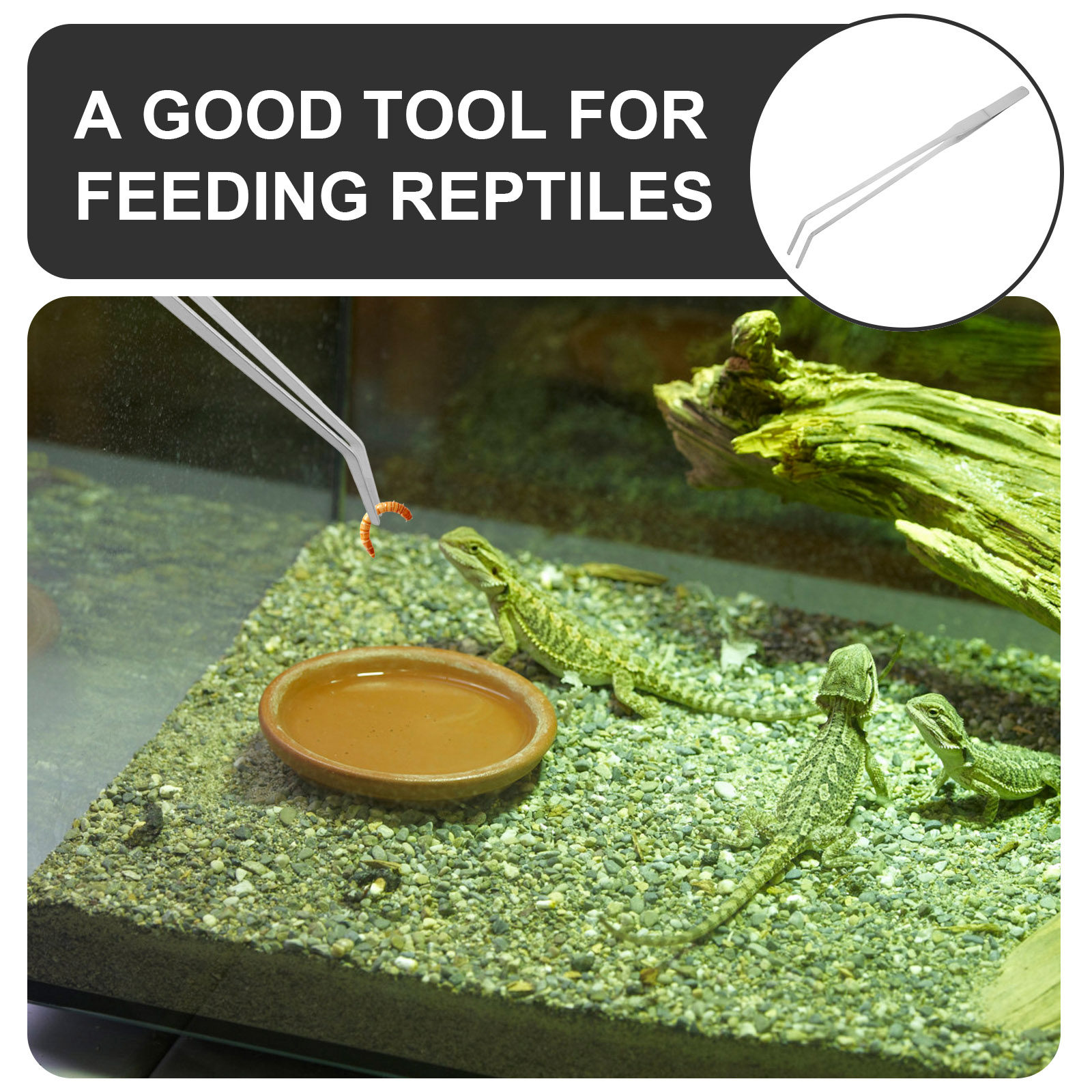6 قطع من ملاقط الفولاذ المقاوم - مراجعة Feeding Tong Stainless وسعره